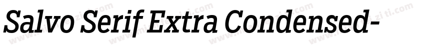 Salvo Serif Extra Condensed字体转换